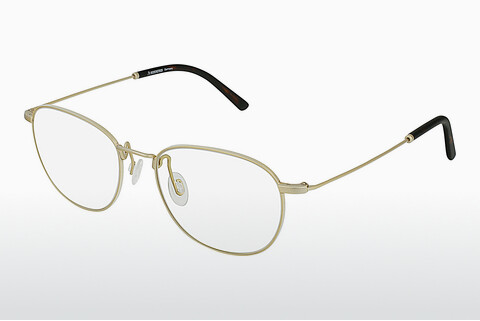 Tasarım gözlükleri Rodenstock R2617 B