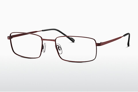 Tasarım gözlükleri TITANFLEX EBT 820849 50