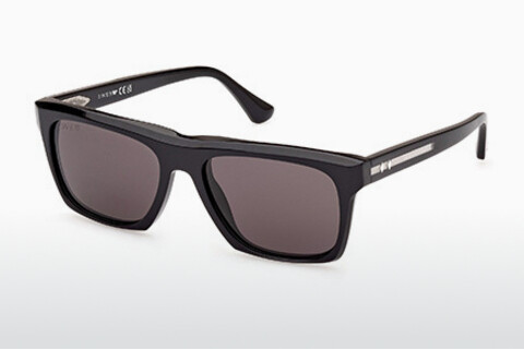 Güneş gözlüğü Web Eyewear WE0350 20E