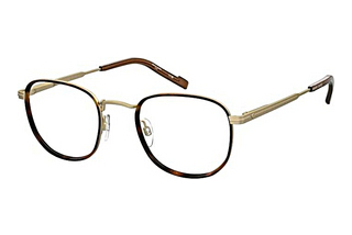 Pierre Cardin P.C. 6899 8SO MATTE GOLD HAVANA