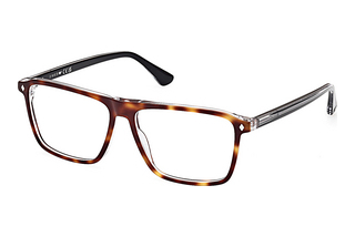 Web Eyewear WE5442 056 Havanna/Einfarbig