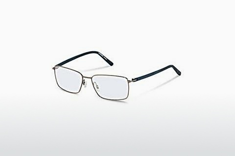 Tasarım gözlükleri Rodenstock R2610 C
