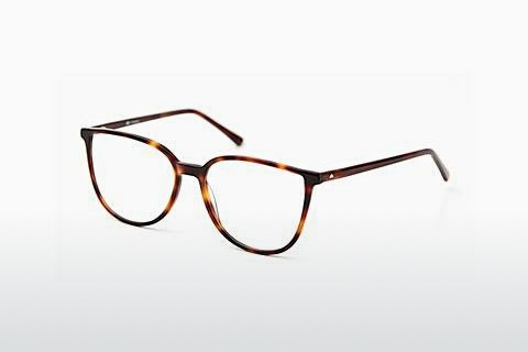 Tasarım gözlükleri Sur Classics Vivienne (12516 havana)