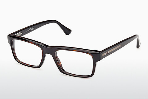 Tasarım gözlükleri Web Eyewear WE5432 056