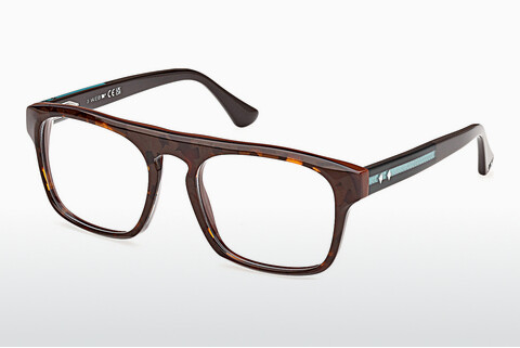 Tasarım gözlükleri Web Eyewear WE5434 052