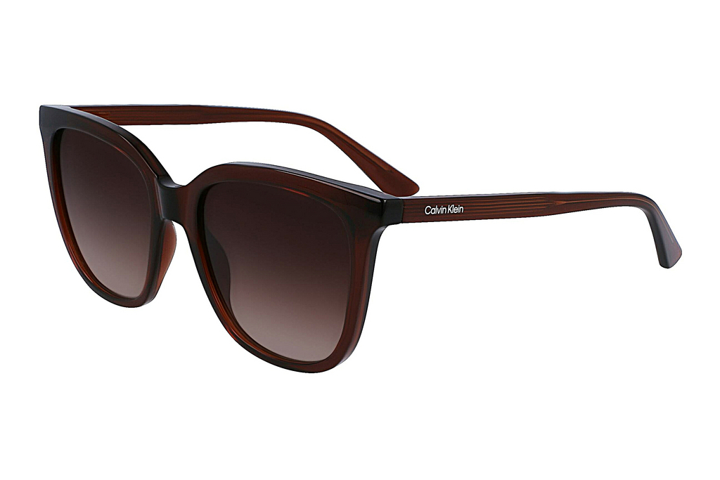 Calvin Klein   CK23506S 200 BROWN BROWN