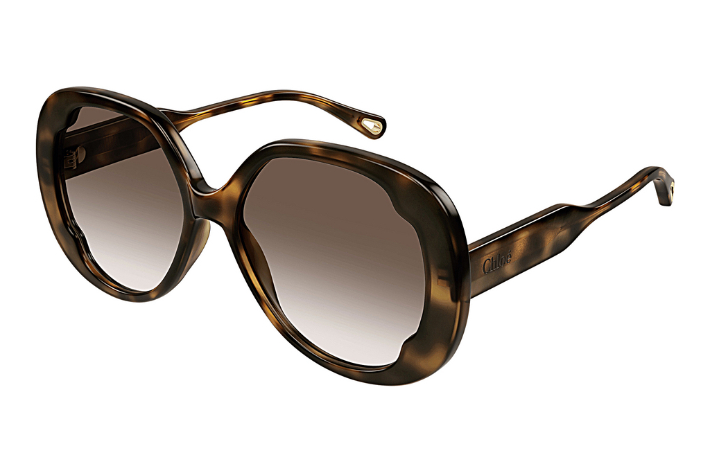 Chloé   CH0195S 002 HAVANA