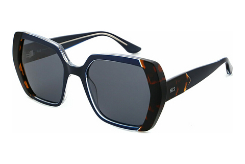 Güneş gözlüğü HIS Eyewear HPS38104 3